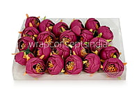 Peony Medium -Wine