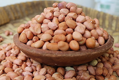 GROUNDNUT