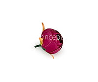 Peony Medium -Wine