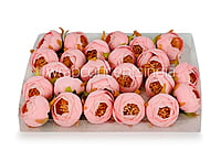 Peony Medium -Baby Pink