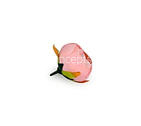 Peony Medium -Baby Pink