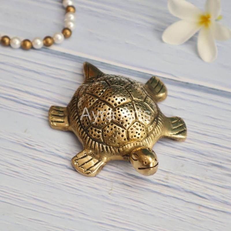 Brass Tortoise