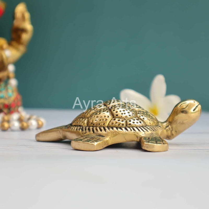 Brass Tortoise