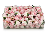 Bell Flower - White With Hits Of Pink