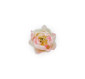 Bell Flower - White With Hits Of Pink