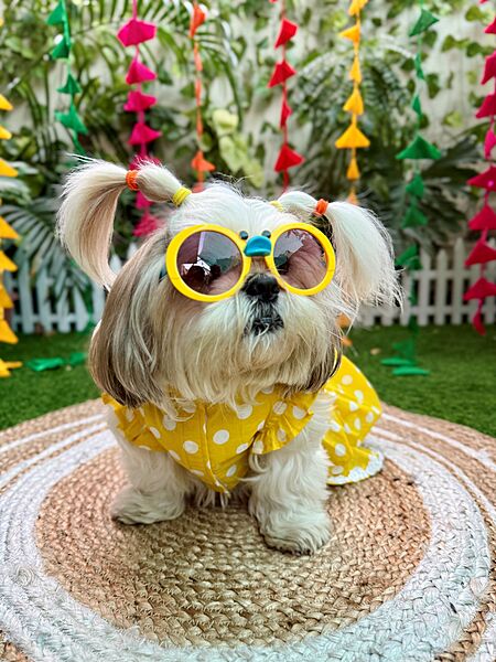 Yellow Polka Frock