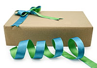 Reversible Ribbon - Parrot Green with Turquoise Blue