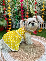 Yellow Polka Frock