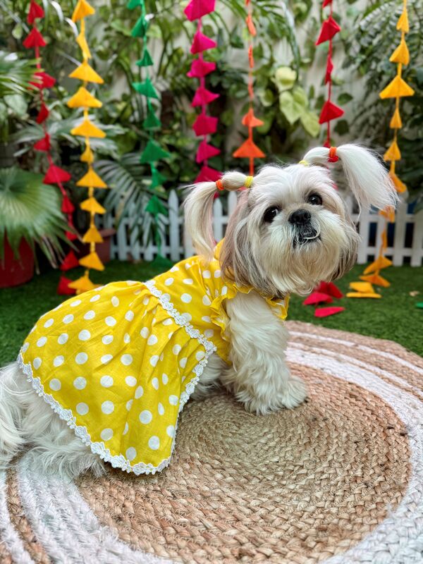 Yellow Polka Frock