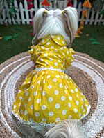 Yellow Polka Frock