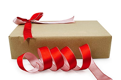 Reversible Ribbon - Red with White