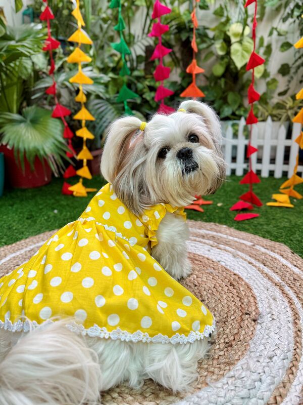 Yellow Polka Frock