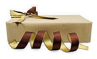 Reversible Ribbon - Brown with Gold