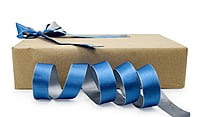 Reversible Ribbon - Azure Blue with Grey
