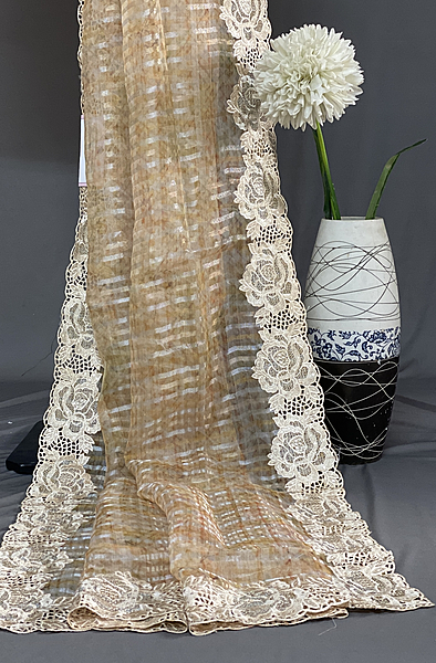 Aaliyah tissue saree SWS309