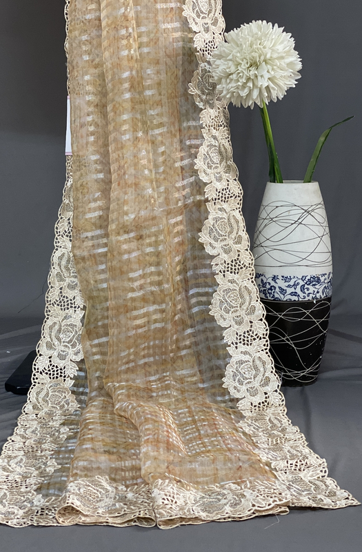 Aaliyah tissue saree SWS309