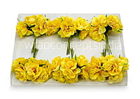 Yellow Flower On Stick with Pollen