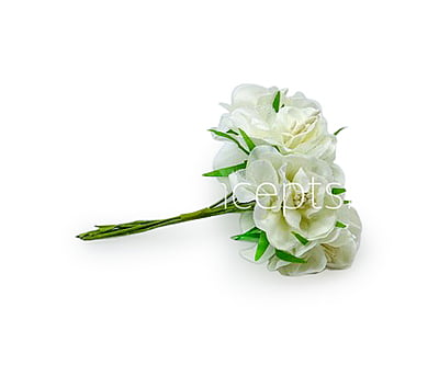 Ivory Flower On Stick with Pollen