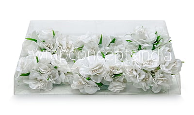 White Flower On Stick with Pollen