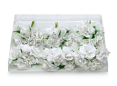 White Flower On Stick with Pollen