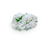 White Flower On Stick with Pollen