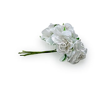 White Flower On Stick with Pollen