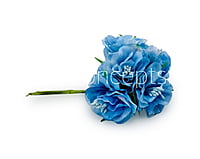 Soft Blue Flower On Stick with Pollen