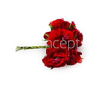 Red Flower On Stick with Pollen