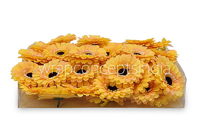 Saffron Gerberas