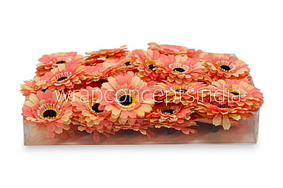 Peach with hints of Lemon Gerberas