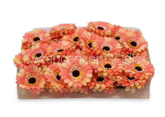 Peach with hints of Lemon Gerberas