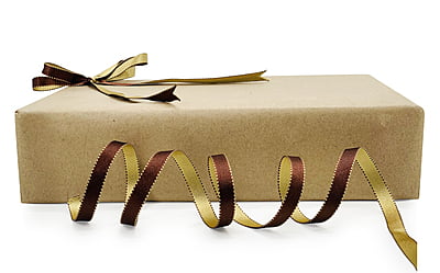 Reversible Ribbon - Brown with Gold