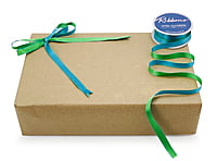 Reversible Ribbon - Parrot Green with Turquoise Blue