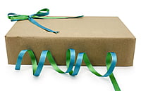 Reversible Ribbon - Parrot Green with Turquoise Blue