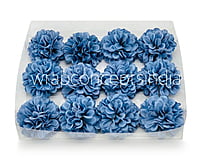 Steel Blue Carnation