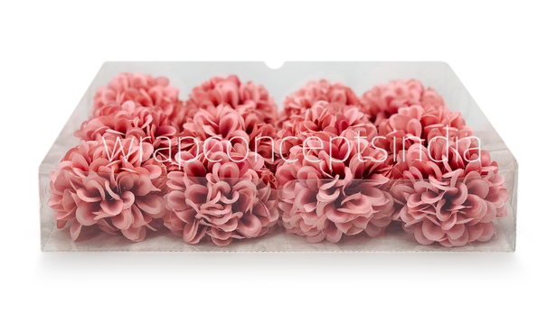 Pinkish Red Carnation