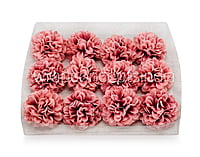 Pinkish Red Carnation