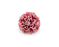 Pinkish Red Carnation