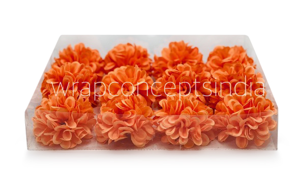 Flame Carnation