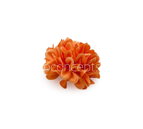 Flame Carnation