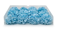 Sky Blue Carnation