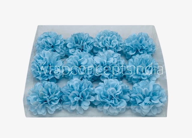 Sky Blue Carnation
