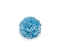 Sky Blue Carnation