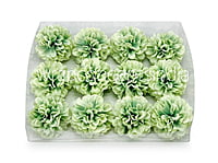Chinoise Green Carnation