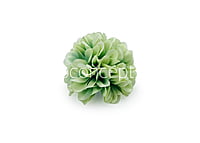 Chinoise Green Carnation