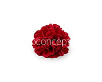 Red Carnation