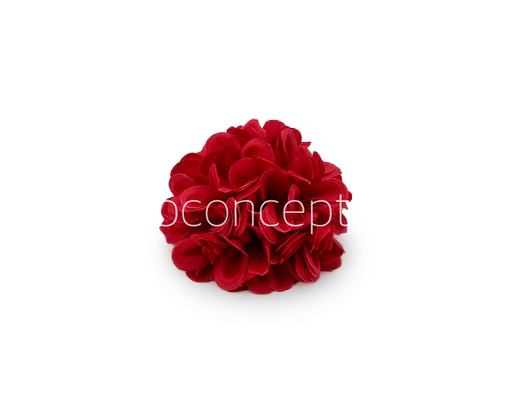 Red Carnation