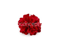 Red Carnation