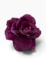 Royal Plum Rose