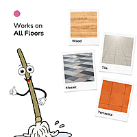 No Fragrance No Colour